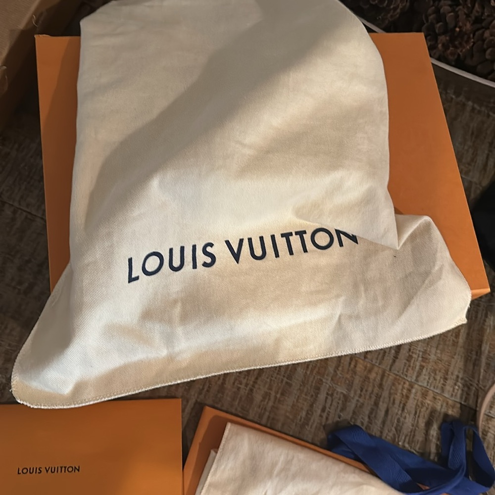 Louis Vuitton Twist MM Shoulder and Cross Body Bag. In great condition. - Picture 17 of 17